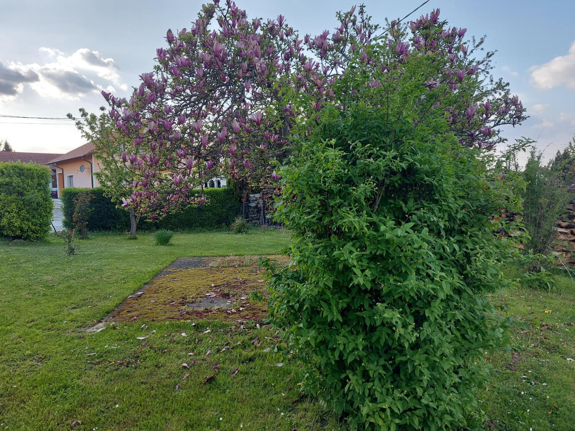 A House, Free Parking, Sauna Koprivnica Exterior foto